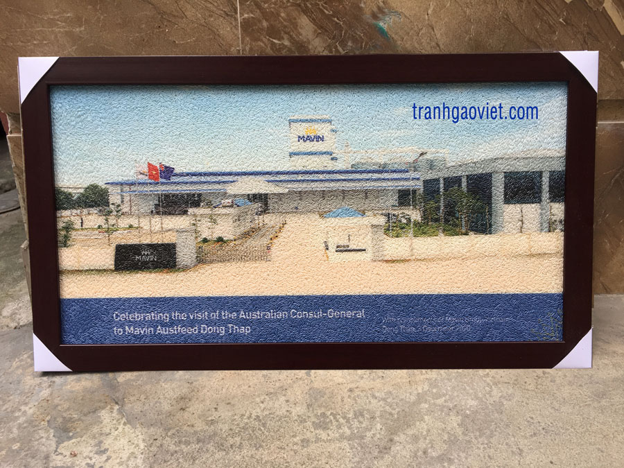 Tranh gạo logo Mavin Đồng Th&aacute;p